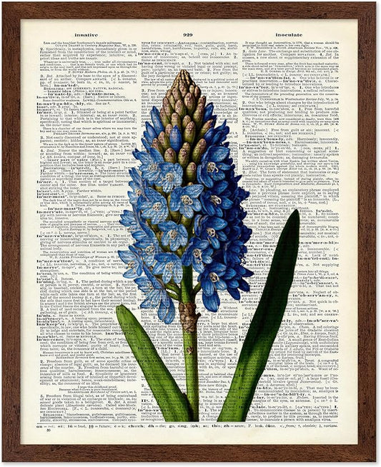 Poster Master Dictionary Art Poster - Blue Hyacinth Print - Flower Art - Floral Art - Gift for Men, Women & Florist - Minimal Decor for Bedroom, Office, Dorm or Flower Shop, 8x10 Brown Framed