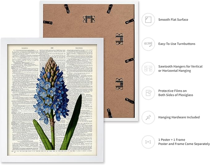 Poster Master Dictionary Art Poster - Blue Hyacinth Print - Flower Art - Floral Art - Gift for Men, Women & Florist - Minimal Decor for Bedroom, Office, Dorm or Flower Shop, 11x14 White Framed