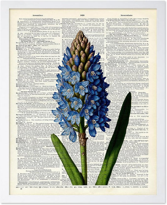 Poster Master Dictionary Art Poster - Blue Hyacinth Print - Flower Art - Floral Art - Gift for Men, Women & Florist - Minimal Decor for Bedroom, Office, Dorm or Flower Shop, 16x20 White Framed