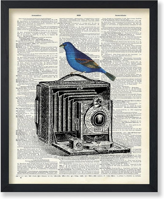 Poster Master Dictionary Art Poster - Antique Camera Print - Bird Art - Photography Art - Gift for Men, Women & Photographer - Chic Decor for Living Room, Bedroom or Office - 8x10 UNFRAMED Wall Art