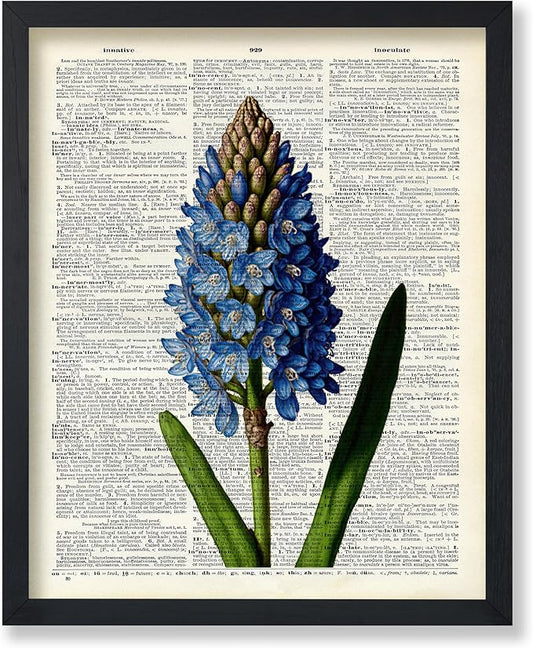 Poster Master Dictionary Art Poster - Blue Hyacinth Print - Flower Art - Floral Art - Gift for Men, Women & Florist - Minimal Decor for Bedroom, Office, Dorm or Flower Shop, 24x32 Unframed Wall Art