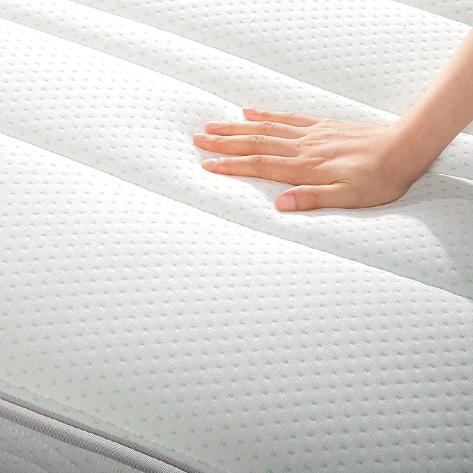 ZINUS 8 Inch Foam and Spring RV Mattress, Short Queen Size for RVs, Campers & Trailers, Mattress in A Box, White