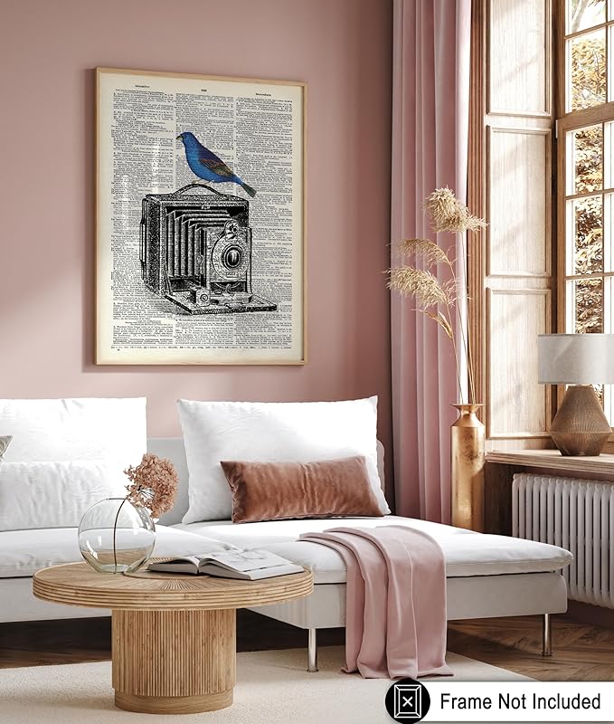 Poster Master Dictionary Art Poster - Antique Camera Print - Bird Art - Photography Art - Gift for Men, Women & Photographer - Chic Decor for Living Room, Bedroom or Office, 24x32 Unframed Wall Art