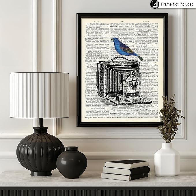 Poster Master Dictionary Art Poster - Antique Camera Print - Bird Art - Photography Art - Gift for Men, Women & Photographer - Chic Decor for Living Room, Bedroom or Office - 8x10 UNFRAMED Wall Art
